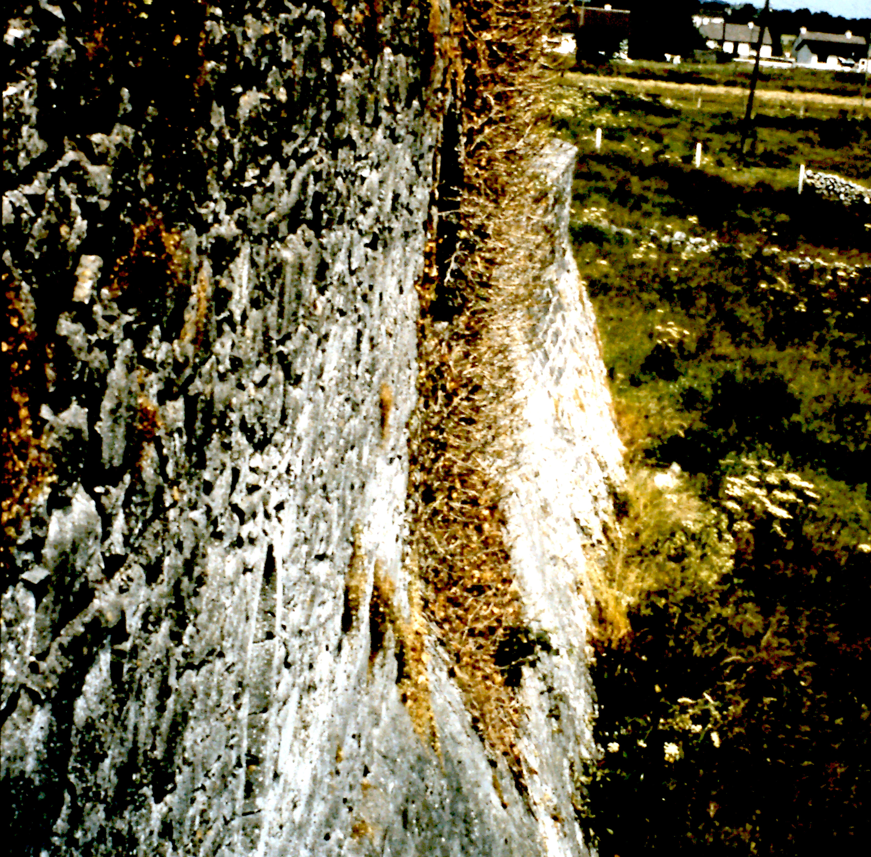5-10-2010_015
