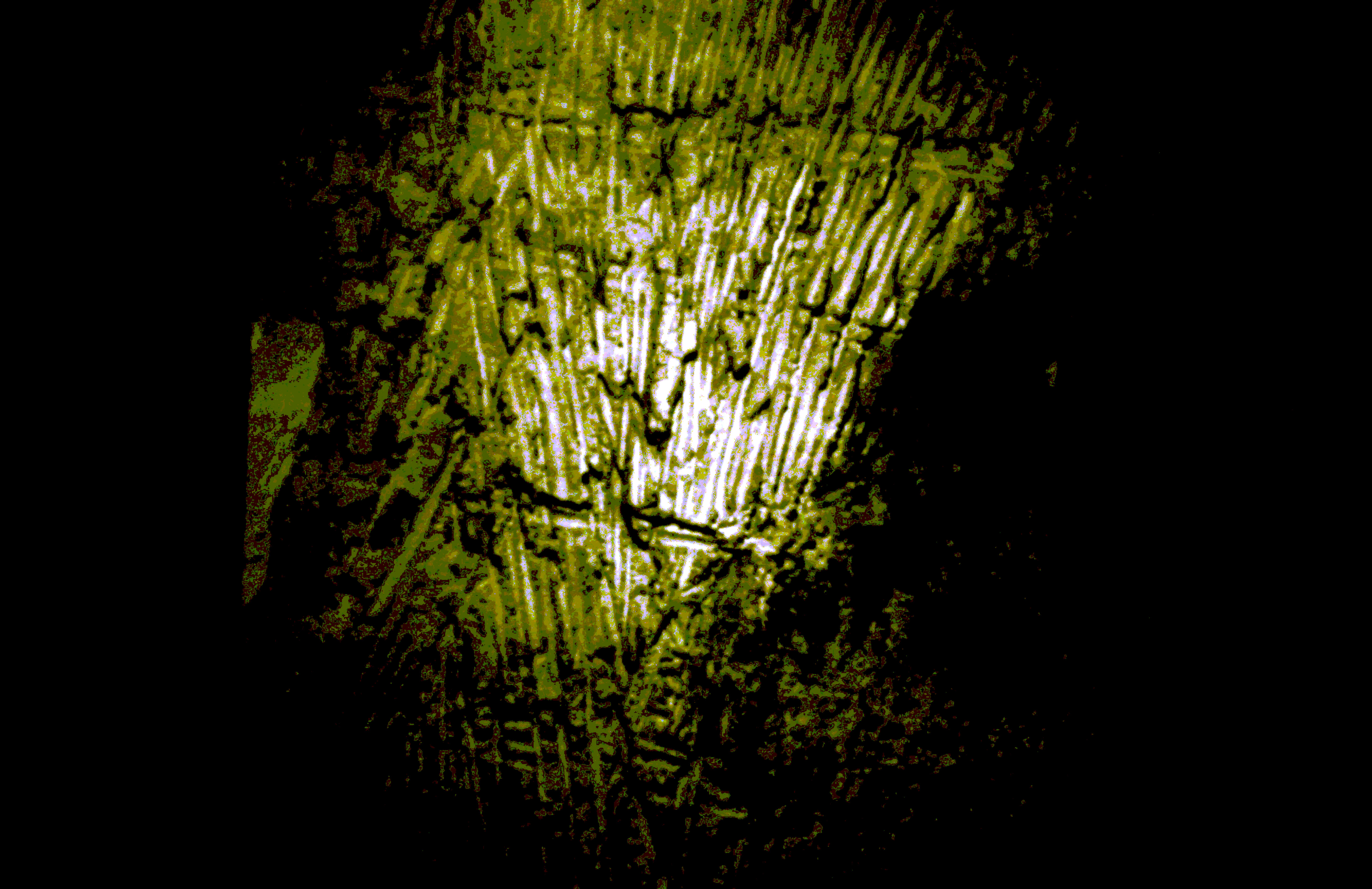 5-10-2010_019
