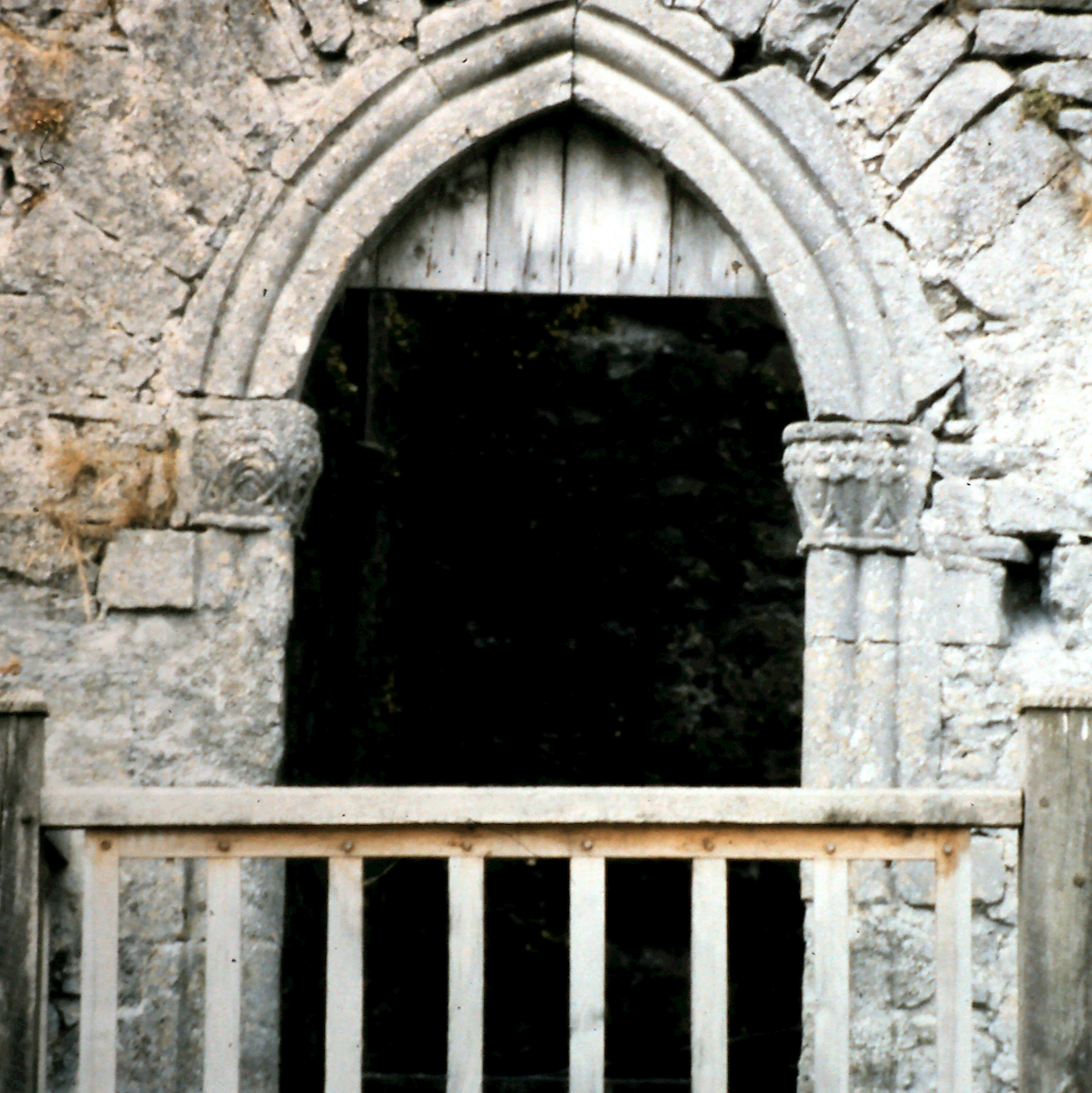5-10-2010_020