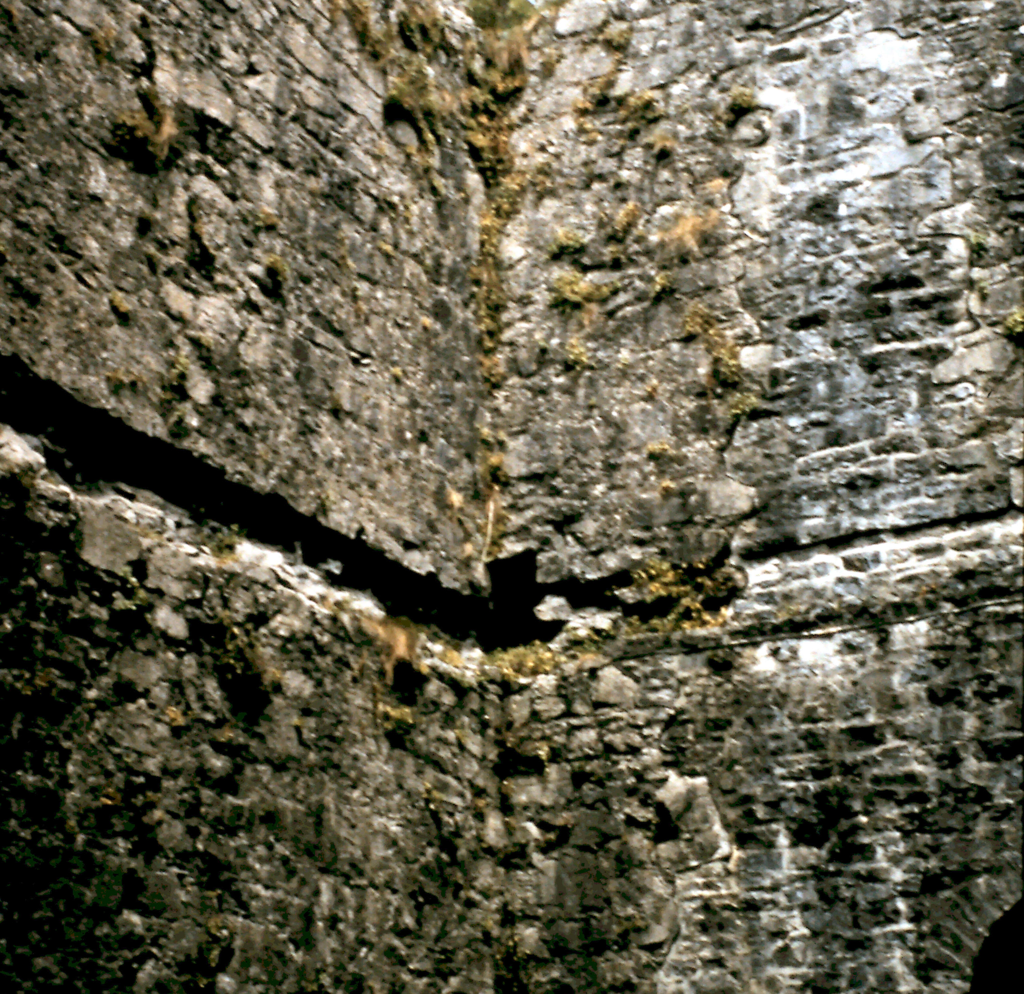 5-10-2010_021