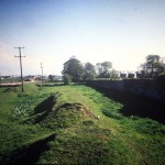 IMG_1248