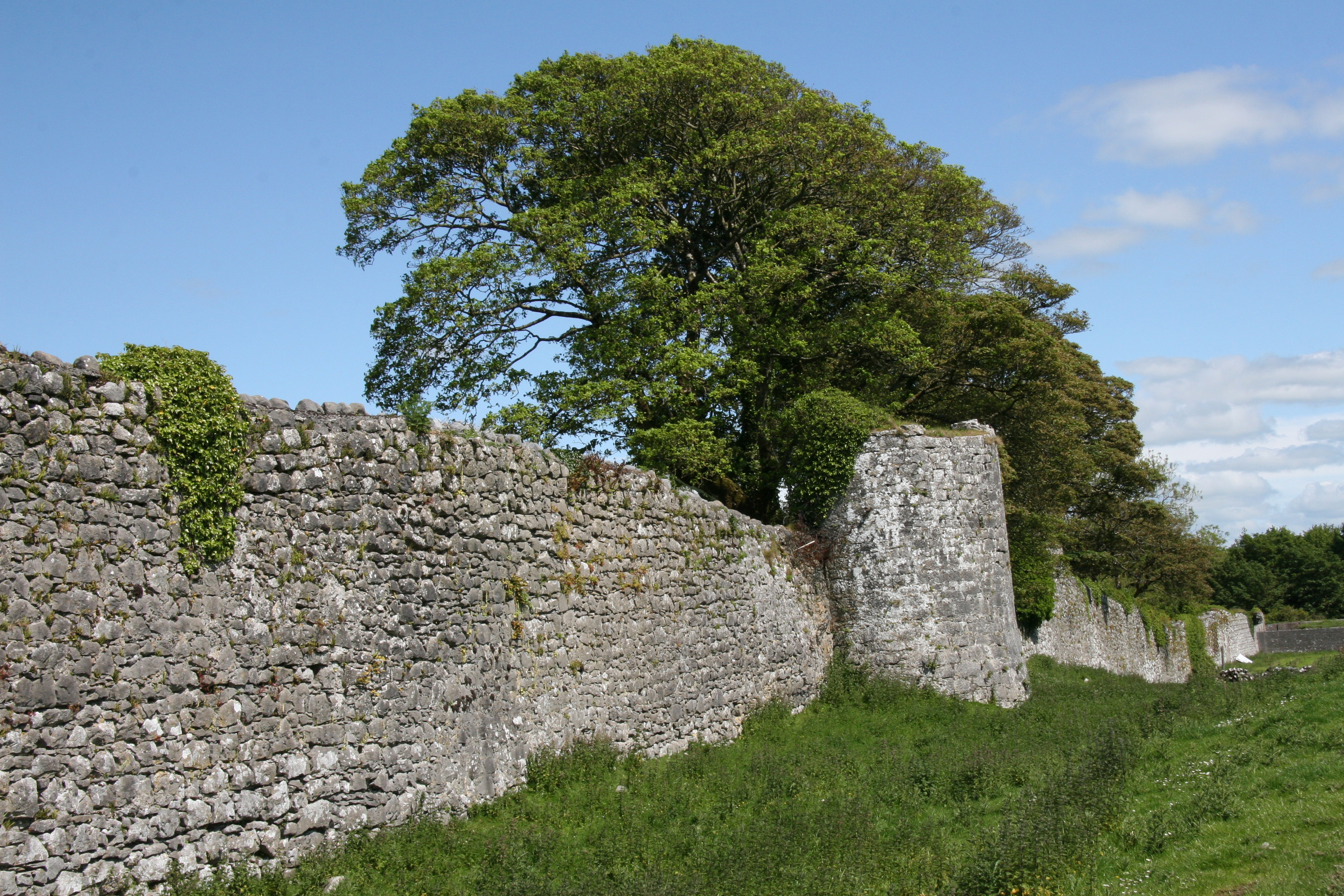 Surveying  Athenry  Town  Walls (1980)