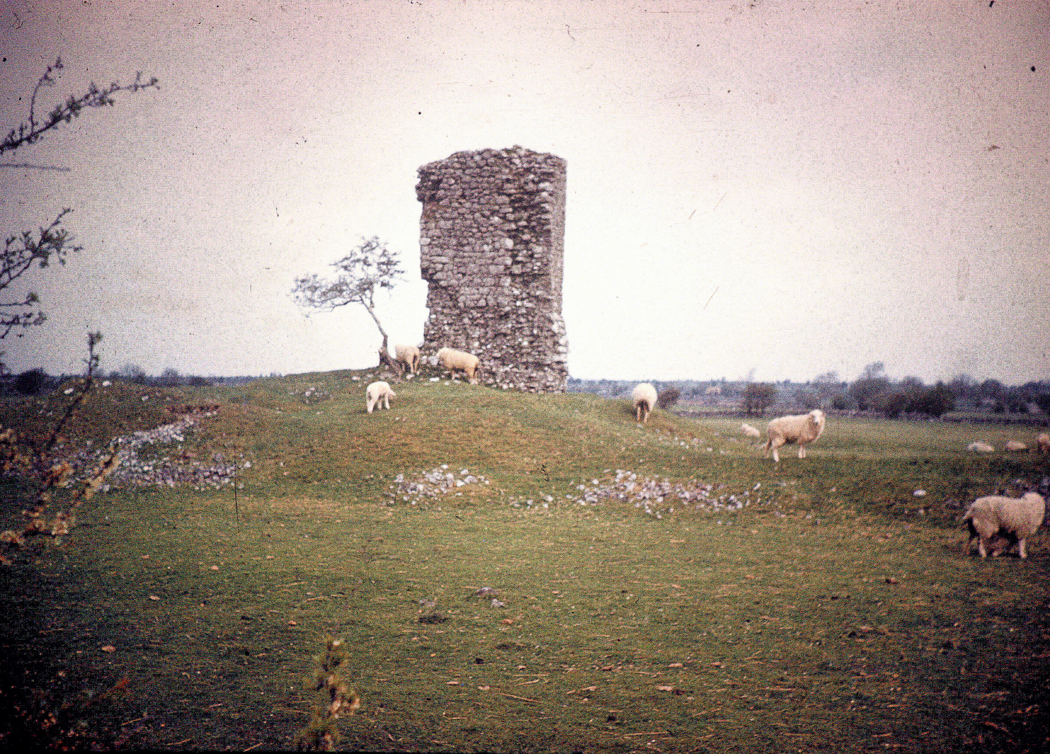 Historic Sites of Interest in Athenry Parish